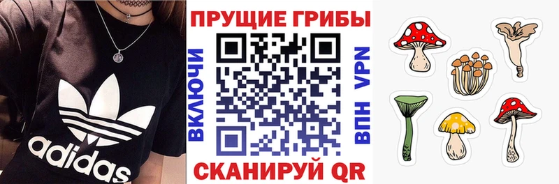 Псилоцибиновые грибы MAGIC MUSHROOMS  Купить закладки  Зуевка 